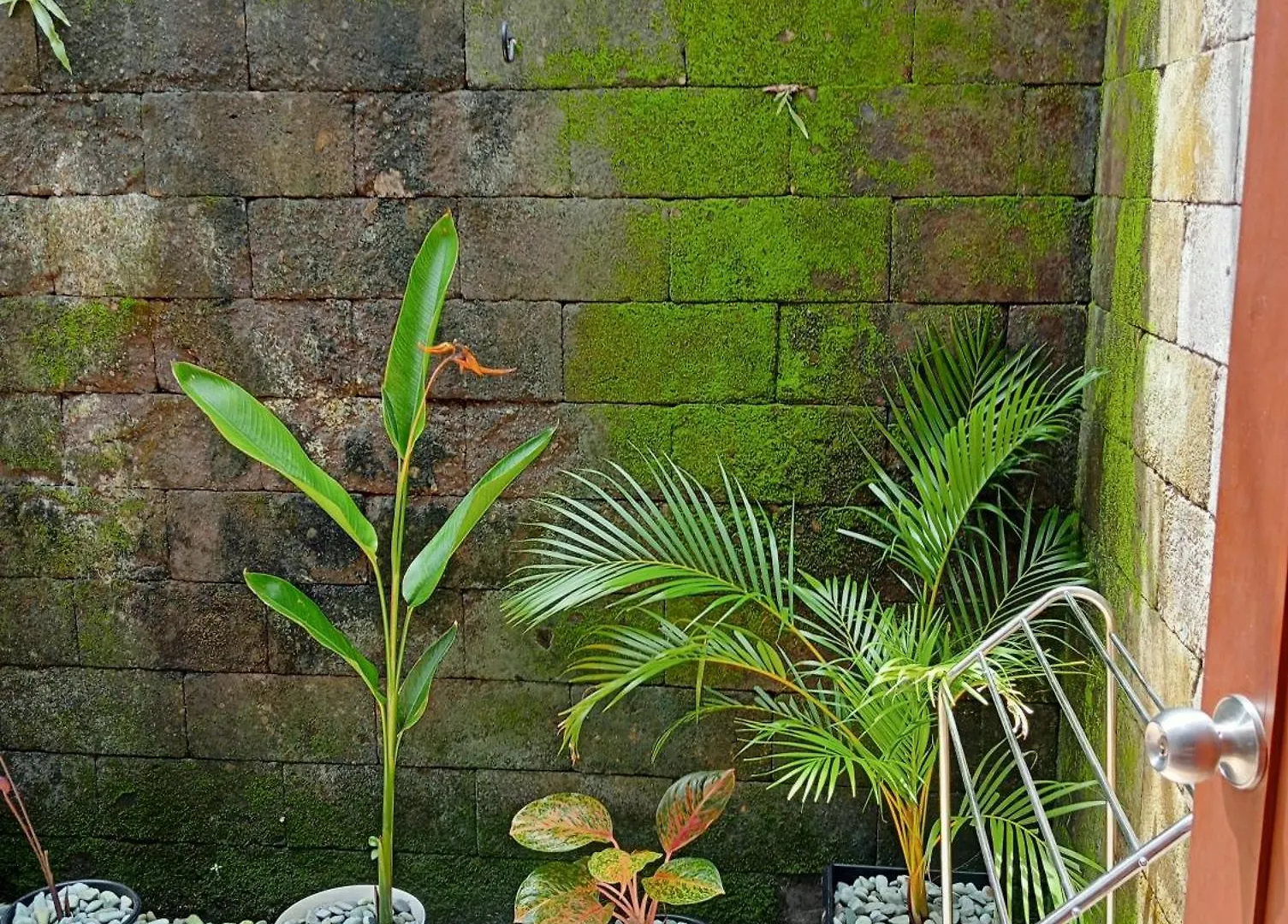 Bed & Breakfast Pondok Indah Villa Ujung Indonesia